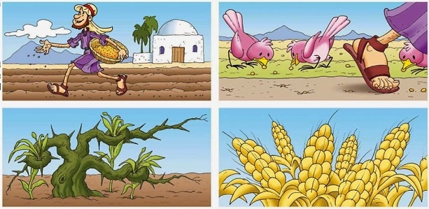 Parábola del sembrador 