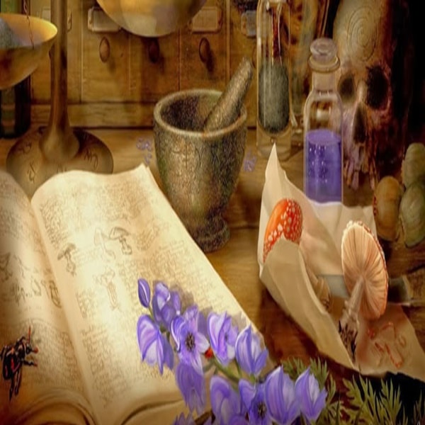 Pociones para el amor 1