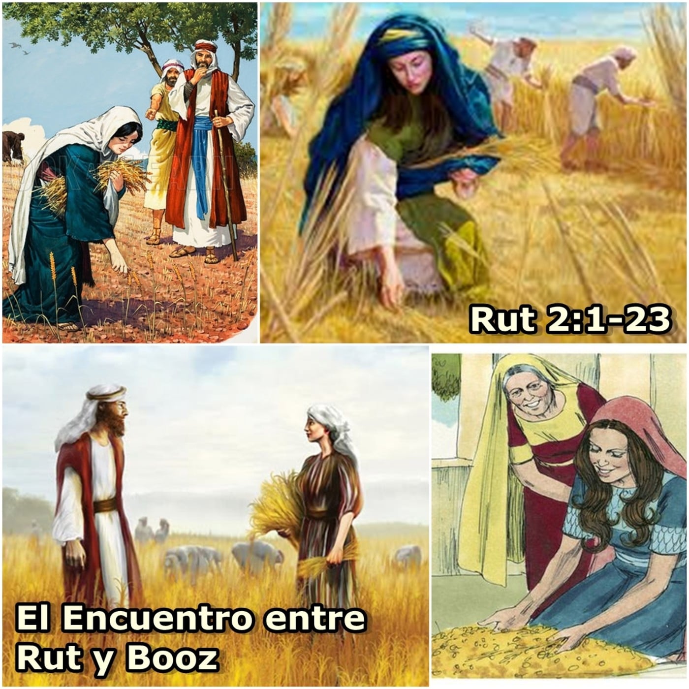 Cuantos Libros Tiene La Biblia Reina Valera 1960
