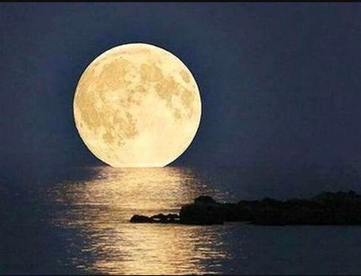 MEDITACIÓN DE LA LUNA LLENA