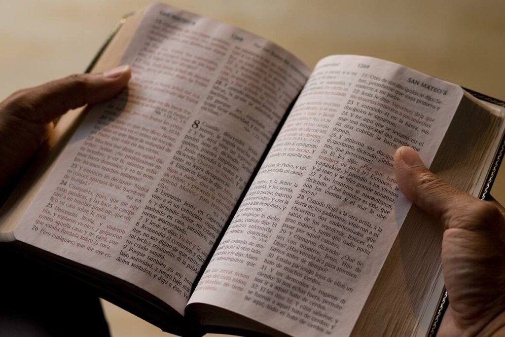 ÓMO LEER LA BIBLIA EN UN AÑO 
